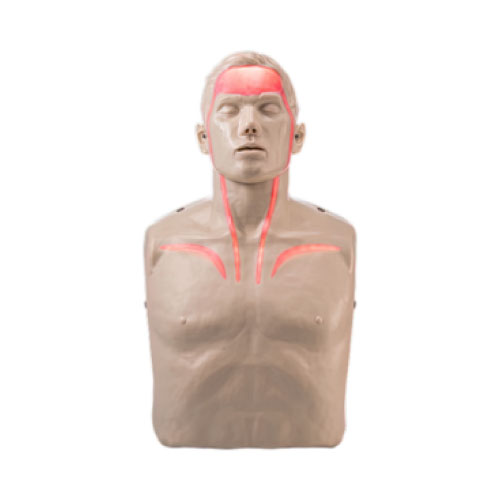 BRAYDEN Pulse CPR Manikin (With Lights)