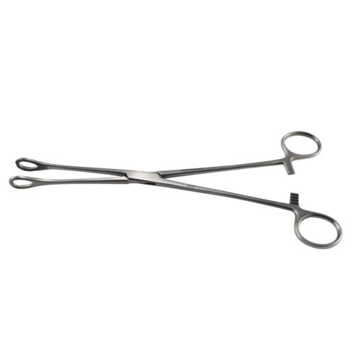 Armo Sponge And Holding Forceps Foerster 25cm