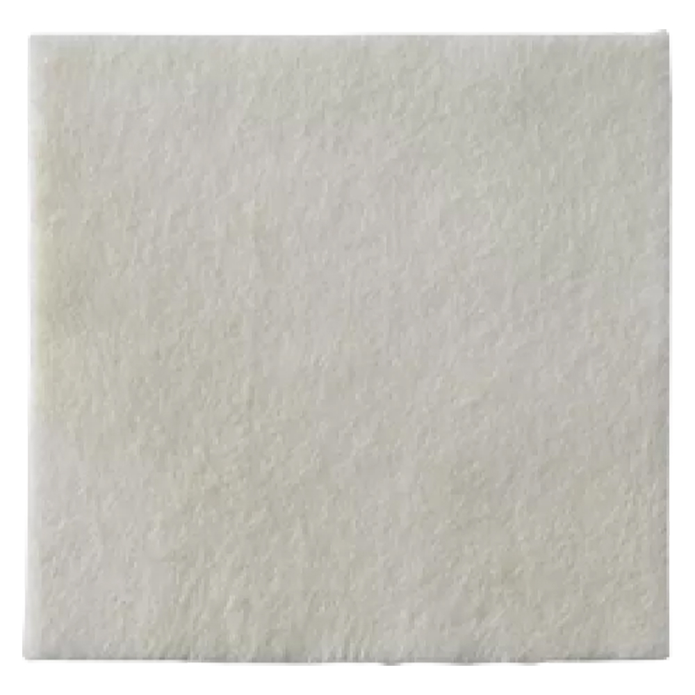 Biatain Alginate Ag 10 x 10cm